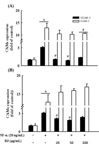 Fig. 3. Effect of DJ#3 and DJ#13 extracts on tumor necrosis factor (TNF)-α-induced CAMs production in human umbilical vascular endothelial cells (HUVECs).