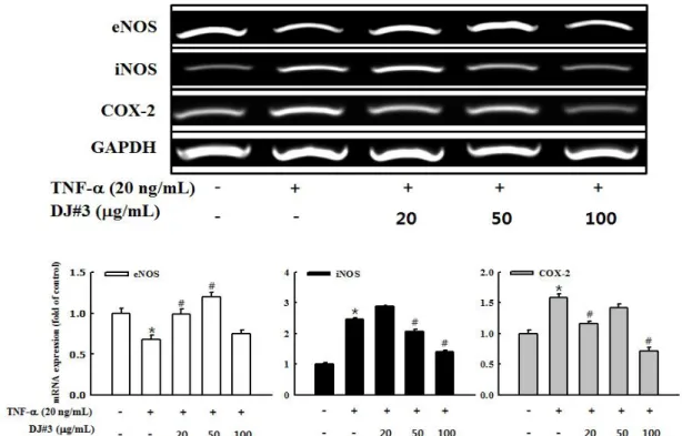 Fig. 4. Effects of DJ#3 on eNOS, iNOS and COX-2 mRNA gene expression in tumor necrosis factor (TNF)-α-stimulated human umbilical vascular endothelial cells (HUVECs).