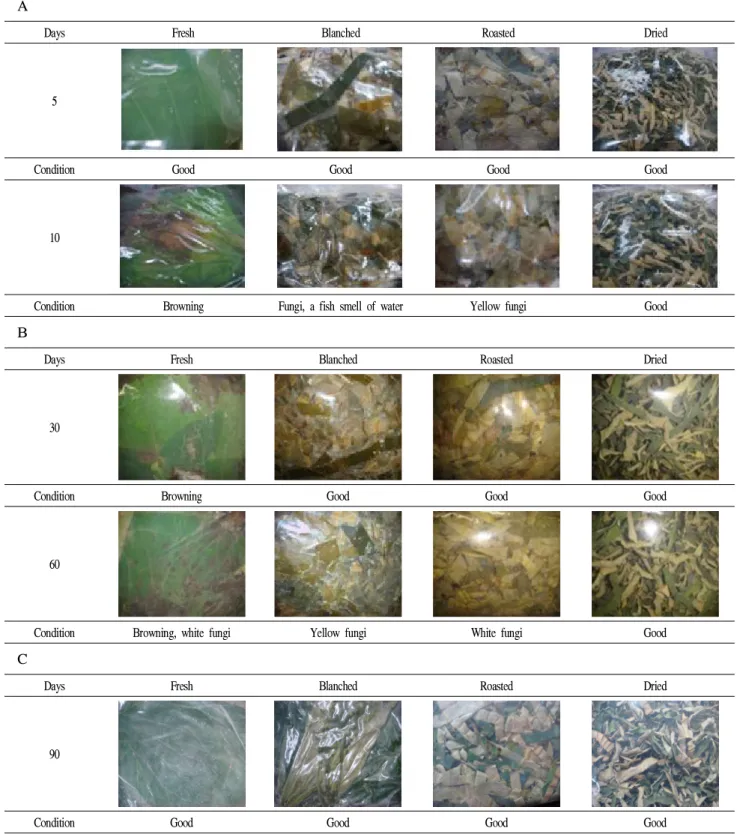 Fig. 1. Appearance of lotus leaves during storage (A, at 25℃; B, at 4℃; C, -10℃).