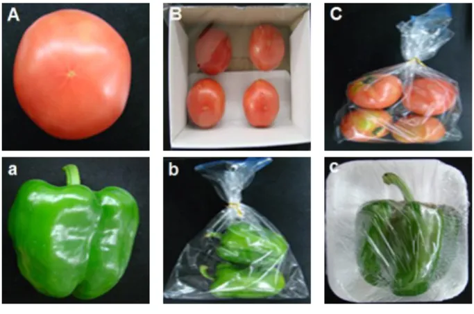 Fig. 1. Packaging types for tomato and paprika.