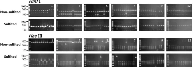 Fig. 3. Effects of sulfiting on the changes in the yeast flora during the spontaneous fermentation of Campbell Early wine.