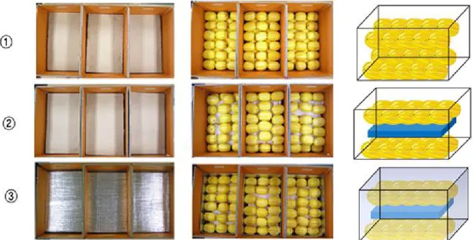 Fig. 1. The storage arrangement of oriental melon packaged in the different treated containers with ① only corrugated box (control),