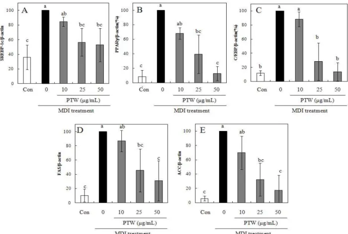 Fig. 3. mRNA expression effects of P. tenuifolia water extract (PTW) on adipocyte differentiation in 3T3-L1 cells confirmed RT-PCR.