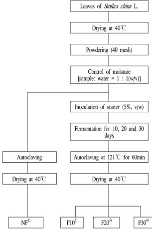 Fig. 1. Preparation and fermentation procedures of Smilax china L. leaf teas.