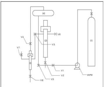 Fig. 1. Flow diagram of supercritical fluid extraction (SFE) system.