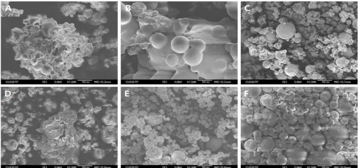 Fig. 2. Scanning electron microscopic photographs of spray-dried powders (x1500) with the blanching condition and selected forming agents from pressed extracts of Ligularia fischeri leaves.