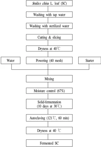 Fig. 1. Solid-fermentation procedures of Smilax china L. leaf by Aspergillus oryzae.