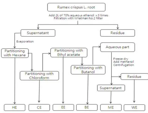 Fig. 1. Schematic diagram for the extraction from Rumex crispus L. root.
