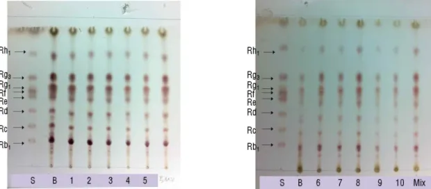Fig. 3. TLC patterns of ginsenosides from fermented red ginseng extract using lactic acid bacteria.
