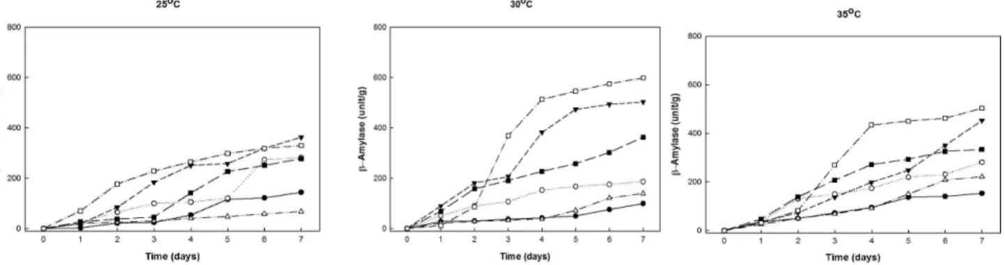 Fig. 3. Changes of β-amylase activity of Koji during making Koji with Bacillus subtilis 3-B-1 and Aspergillus oryzae 6-M-1 at 25, 30 and 35℃