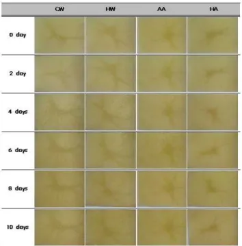 Fig. 5. Color change of fresh-cut potato using combination treatment during storage at 5℃.