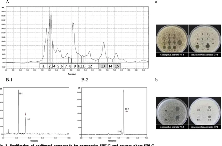 Fig. 3. Purification of antifungal compounds by preparative HPLC and reverse phase-HPLC.