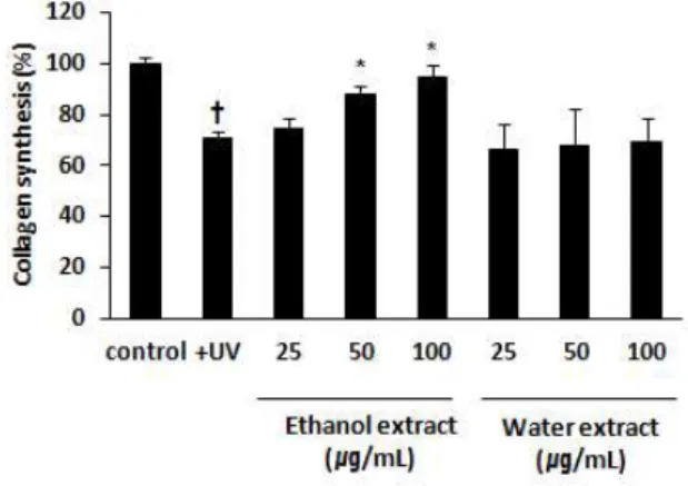 Fig. 4. The effect of Aruncus dioicus var. kamtschaticus extracts on collagen synthesis in HS68 cells.