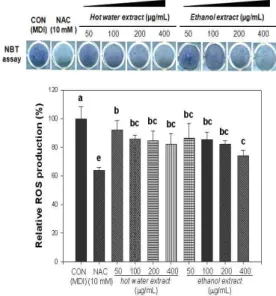 Fig. 1. Effect of Cheonnyuncho extracts on ROS production during adipogenesis of 3T3-L1 preadipocytes.