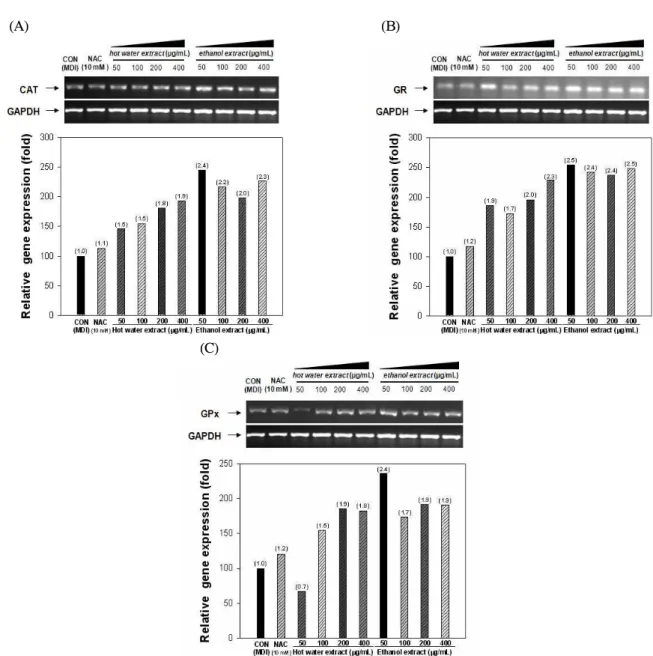Fig. 4. Effect of Cheonnyuncho extracts on gene expressions of CAT (A), GR (B) and GPx (C) during adipogenesis of 3T3-L1 preadipocytes.