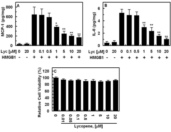 Fig. 1. Effect of lycopene on HMGB1-mediated MCP-1 or IL-8 expression in HUVECs.