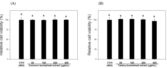 Fig. 5. Effect of 80% ethanol extracts obtained from common and tartary buckwheats on cell viability on 3T3-L1 preadipocytes.