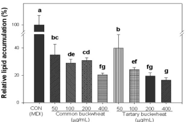 Fig. 6. Effect of 80% ethanol extracts obtained from common and tartary buckwheats on lipid accumulation during differentiation of 3T3-L1 preadipocytes