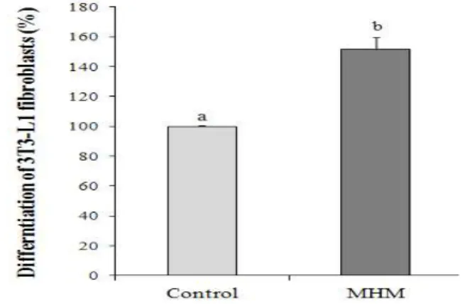 Fig. 2. Effect of water extract from medicinal herb mixture (MHM) on the differentiation of 3T3-L1 fibroblasts