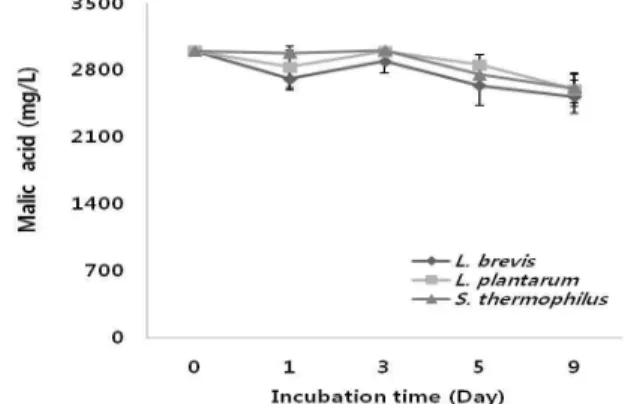 Table 3. Identification of lactic acid bacteria isolated from carbonic maceration treatment
