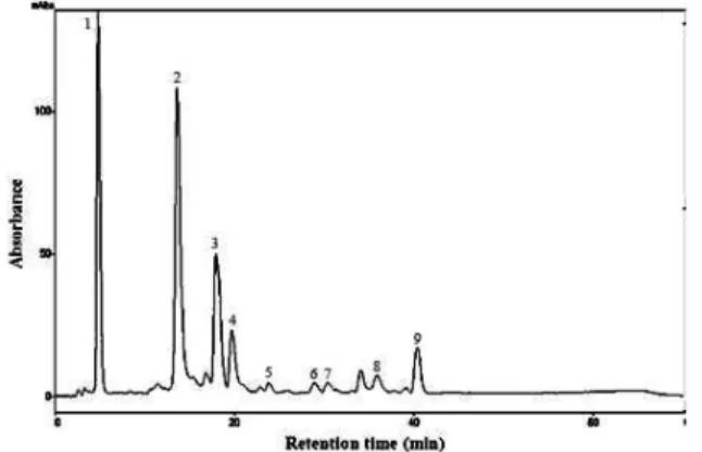 Fig. 1. HPLC chromatogram of polyphenol compounds in apple juice product A.