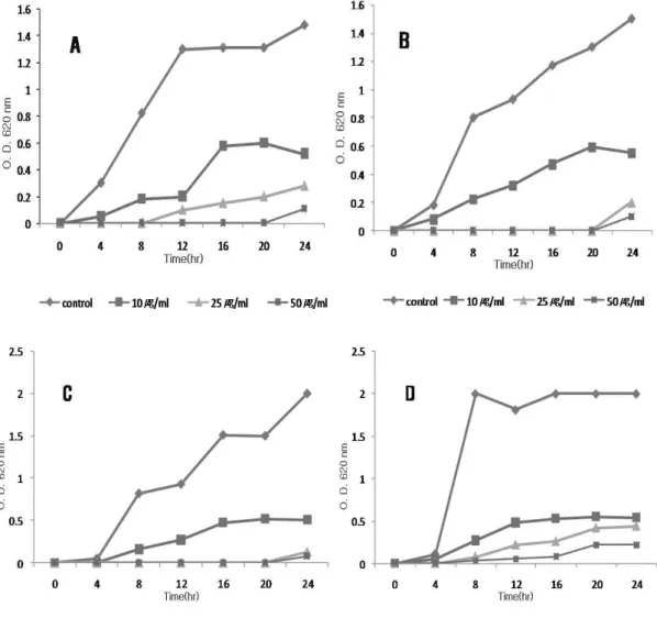 Fig. 3에서 보는바와 같이 (A), (B), (C), (D) 모두 PLE에 대한 저해효과가 확인되었고, PLE의 농도가 높아질수록 미생물의 생육이 크게 억제됨을 알 수 있었다