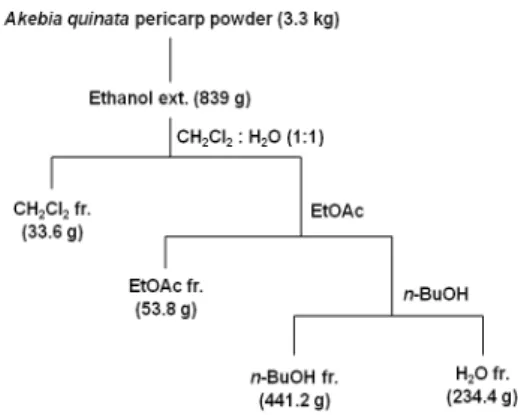 Fig. 1. Extract and fractionation procedure of pericarp of A.