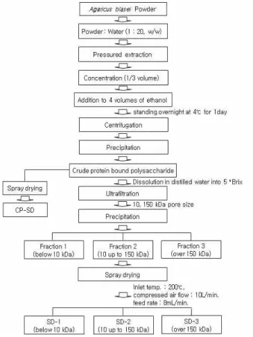 Fig. 1. Procedures for the extraction, separation and spray drying of protein bound polysaccharide from Agaricus blazei Murill.