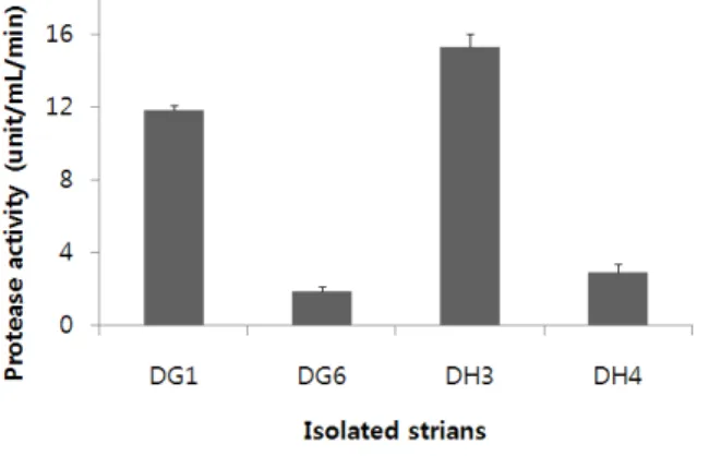 Fig.  1.  Protease  activities  of  isolated  strains.  Results  are  expressed  as  means  with  SD  (error  bar)  of  triplicate  determinations