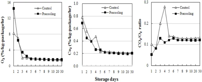 Fig.  3.  Effect  of  vacuum  precooling  after  harvest  on  the  changes  in  CO 2 /O 2   rate  of  PE  packaged  King  oyster(P