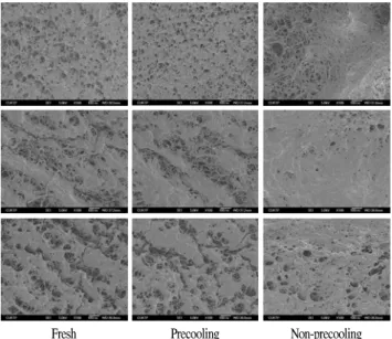 Fig.  5.  Electron  microscopic  photographs(horizontal  section,  ×  300)  of  30  days-stored  King  oyster(P