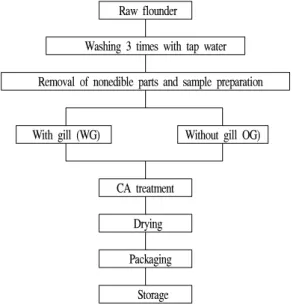 Fig.  1.  Procedure  of  CA  treated  and  semi-dried  flounder  sample  preparation. 