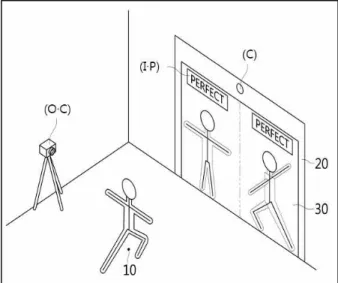 Fig.  6.  Replay  Perspective  View