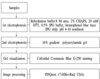 Fig.  1.  Schematic  illustration  of  two-dimensional  electrophoresis  of  sample  proteome.