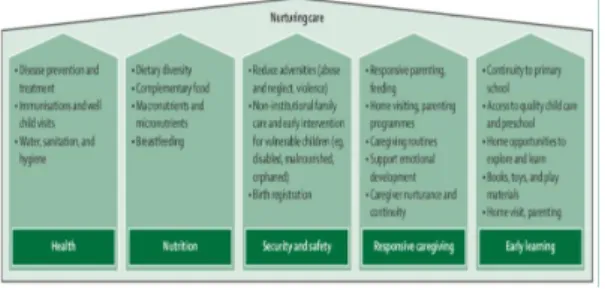 Fig.  2.  Nurturing  Care  Model 