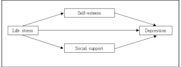 Fig.  1.  Conceptual  freamework 