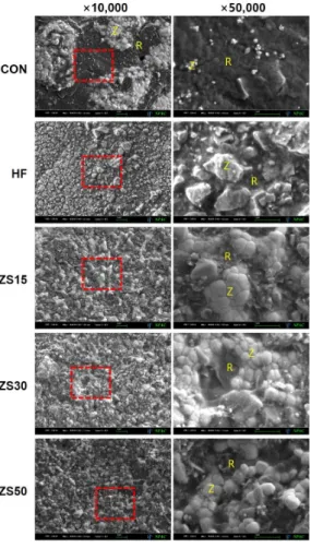Fig.  4.  Scanning  electron  microscope  images  of  zirconia  after  shear-bond  strength.