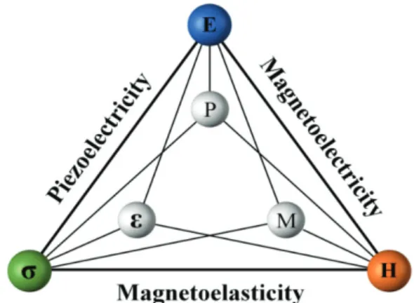 Fig. 1. Schematic diagram of correlation of multiferroic characteristics. 
