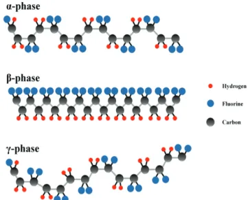 Fig. 5. Polymeric crystal phases in PVDF. 