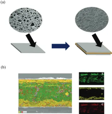 Fig. 12. Main research topic in 2-2 type ME polymer composites; (a) 2-2  magnetic  sensors  with  (b)  cross-sectional  EDS  image  of   hot-pressed NF/PVDF/NF