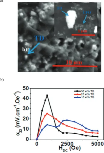 Fig.  14.  Main  research  topic  in  ME  polymer  devices  for  energy  application; (a) 3-0 type P(VDF-TrFE)/CoFe 2 O 4 /Terfenol‐D with (b)  filler concentration-dependent ME coefficient for energy harvesters,  reproduced with permission [67]