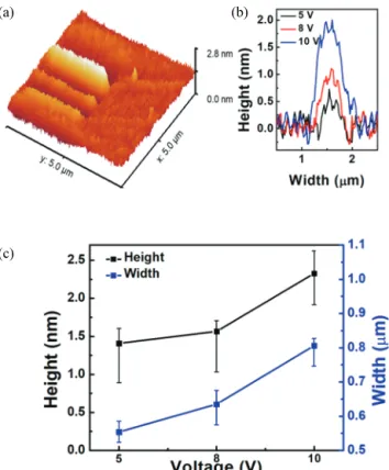 Fig. 1. Schematic method of local anodic oxidation. 