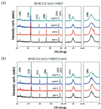 Fig.  4.  FESEM  micrograph s  of  polish ed  and  th ermally  etch ed  surface  of  CuO-doped  BNKT  ceramics  sintered  with   Na 0.5 Bi 4.5 Ti 4 O 15