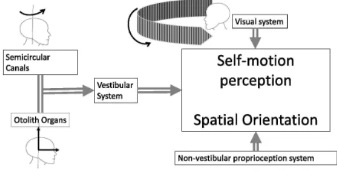Fig.  1.  An  illustration  of  the  interaction  between  different  systems  that  provides  the  perception  of  self-motion[9].