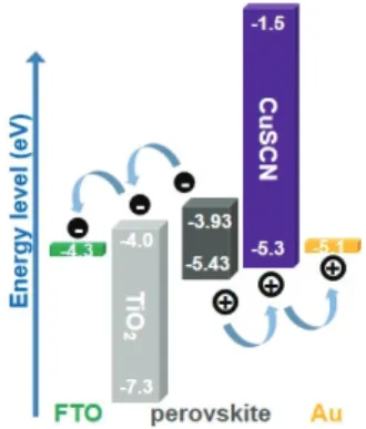 Fig. 1. Energy level diagram for CuSCN (inorganic hole conductor)-  based perovskite solar cells.