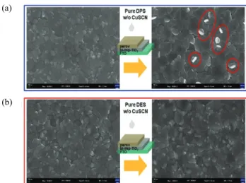 Fig. 2. Photographs of the vials containing CuSCN solution in (a)  dipropyl sulfide (DPS) and (b) diethyl sulfide (DES)