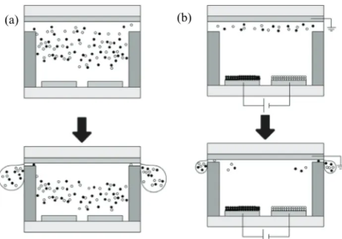 Fig. 1. Injection method of electronic ink at three-electrode type  e-paper. (a) Reported method and (b) active particle loading method.