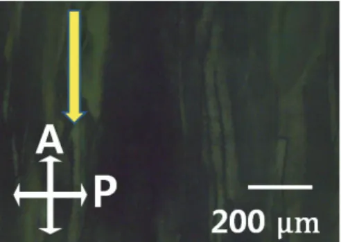 Fig. 5. Oscillated transmittance of LC cell based on the anisotropic  YSnO measured by crystal rotation method.