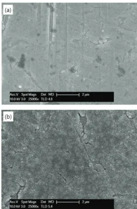 Fig. 3. Atomic force microscope images of (a), (b) SS substrate  and (c), (d) LNMO/LiPON/LTO full cell on Pt-coated SS substrate.