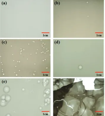 Fig. 8. The SEM image of sintered samples at 1,640℃  (sintring condition)  from various tape casting conditions; (a), (b) coating speed 0.5 m/min,  viscosity 1,000 cps, gap 700  ㎛  (c) coating speed 0.5 m/min, viscosity  3,300 cps, gap 1,000 ㎛  (d) coating